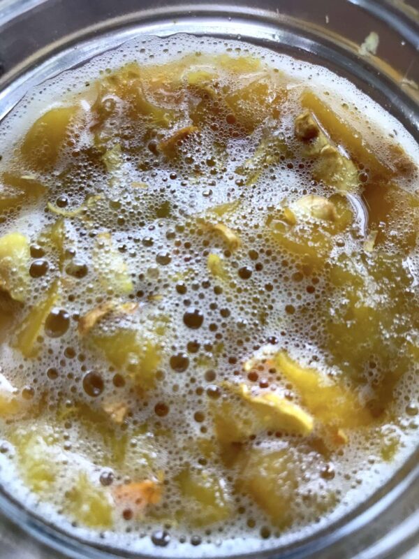 Bubbles and Fruit in a Fermenting Beverage
