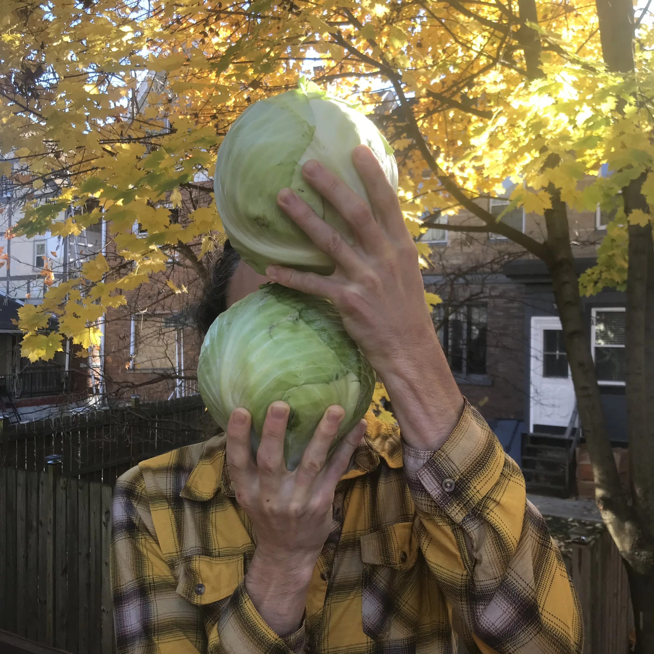 Cabbage Head, Not Trevor Ring of Community Cultures
