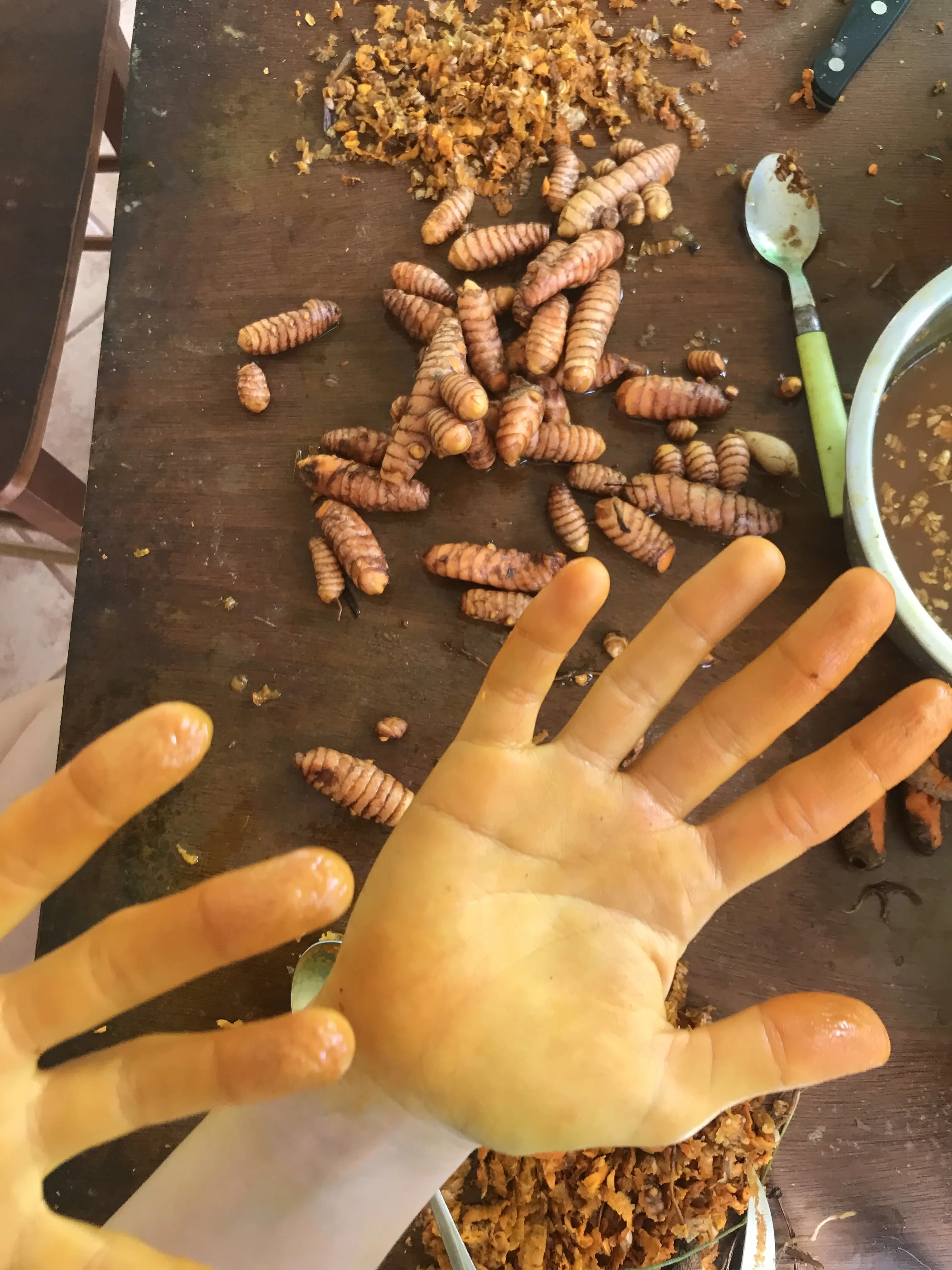Yellow hands from processing fresh turmeric into dried and powdered turmeric.