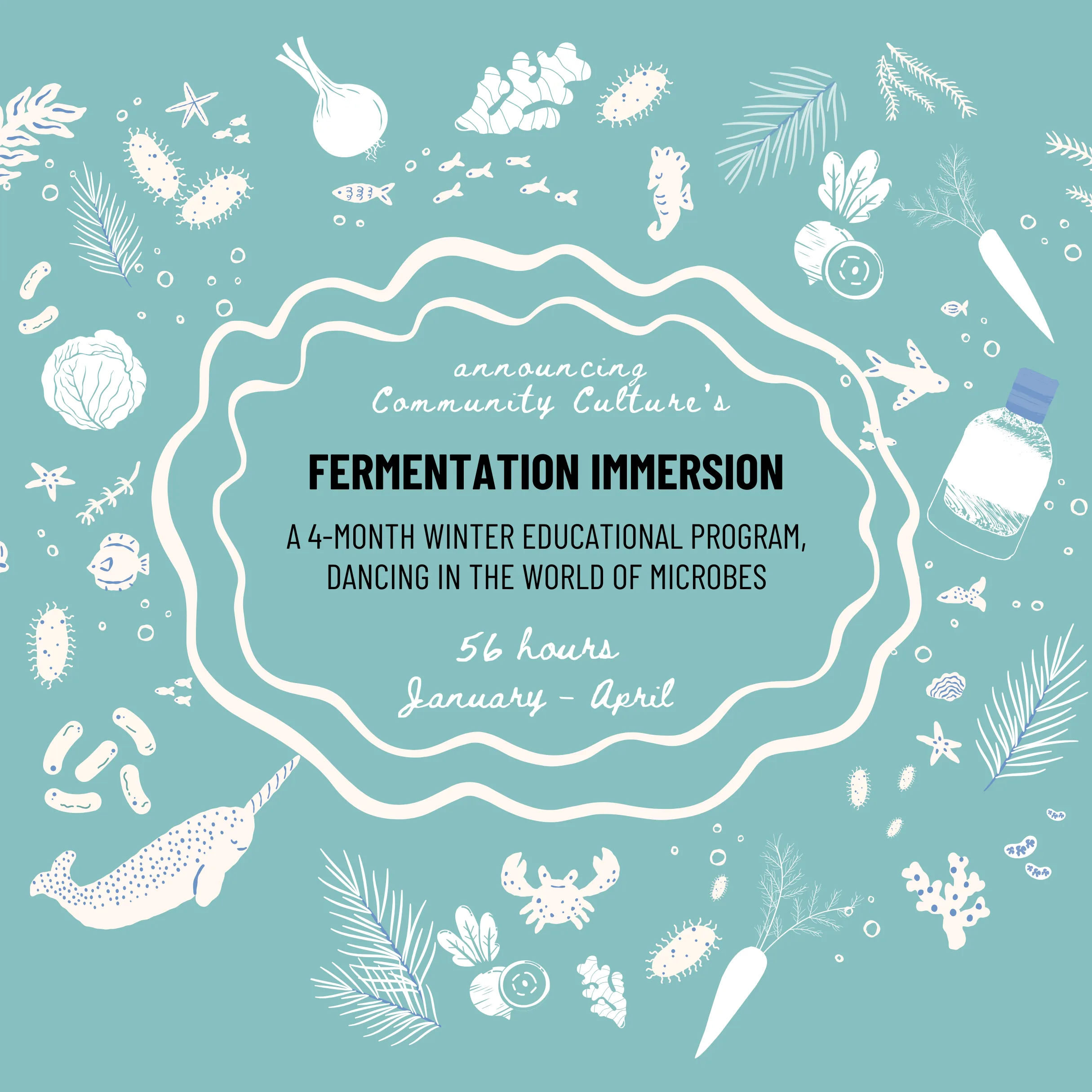 Fermentation Immersion educational program